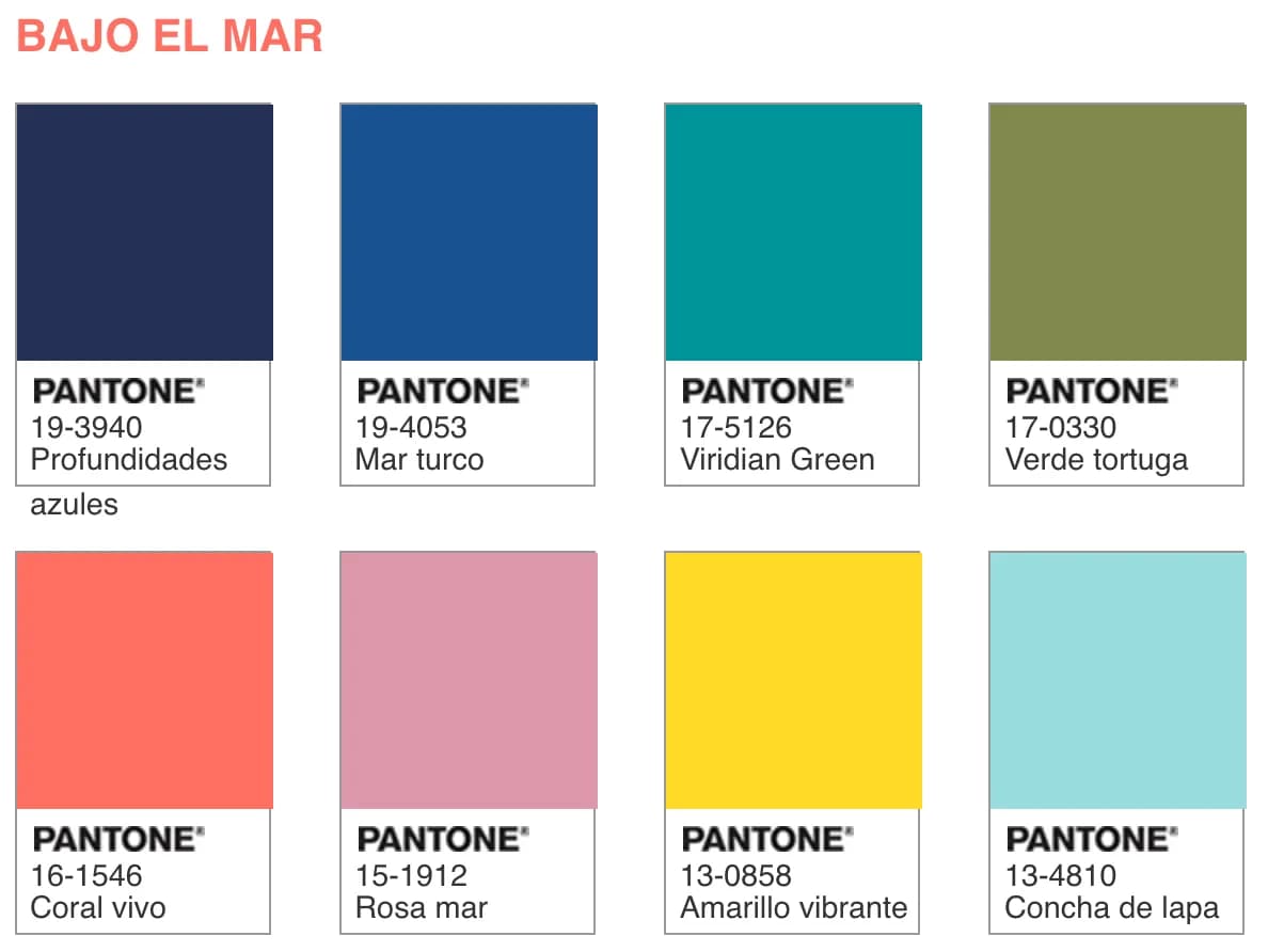 creatyum-media-living-coral-bajo-mar.webp