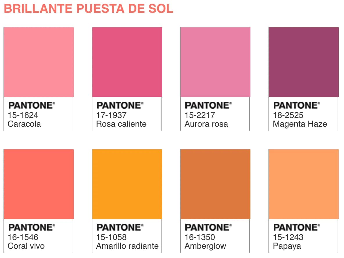 creatyum-media-living-coral-puesta-sol.webp