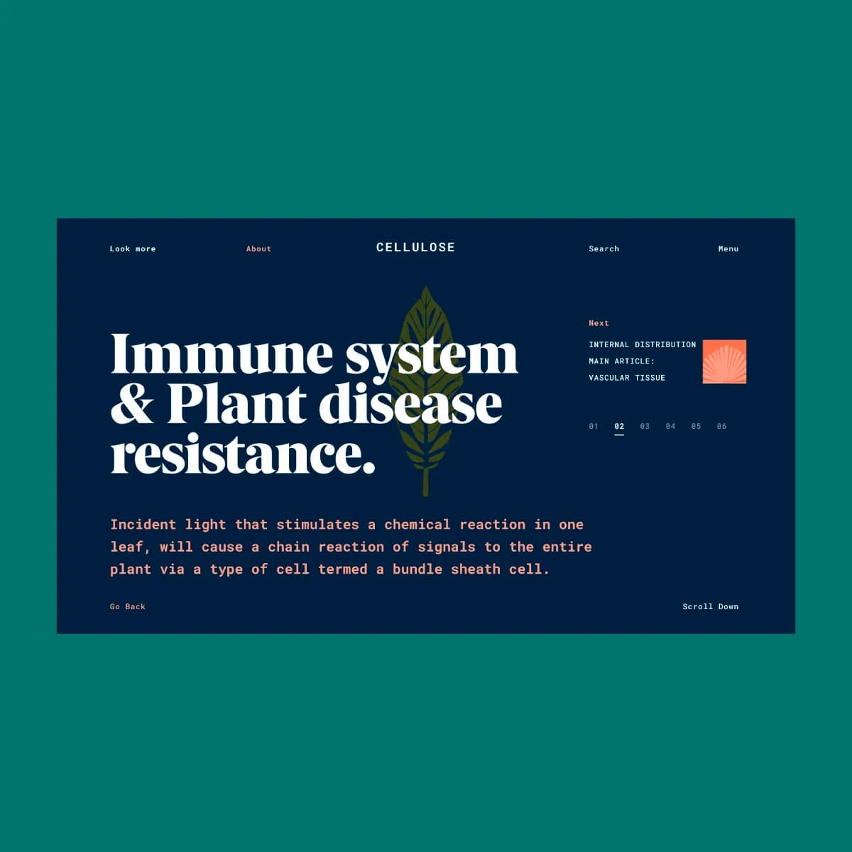 creatyum-media-tendencias-ux-ui-12.webp