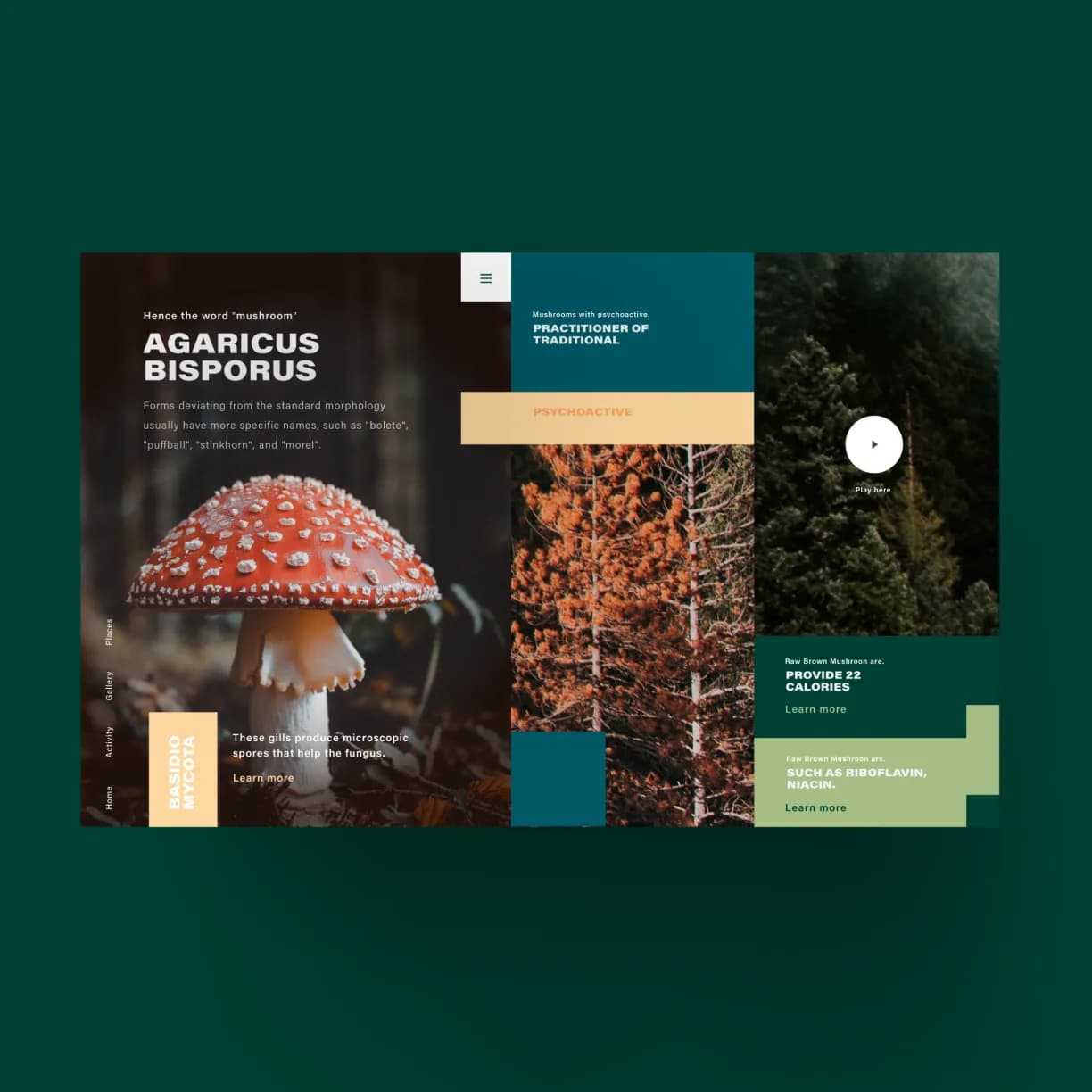creatyum-media-tendencias-ux-ui-14.webp