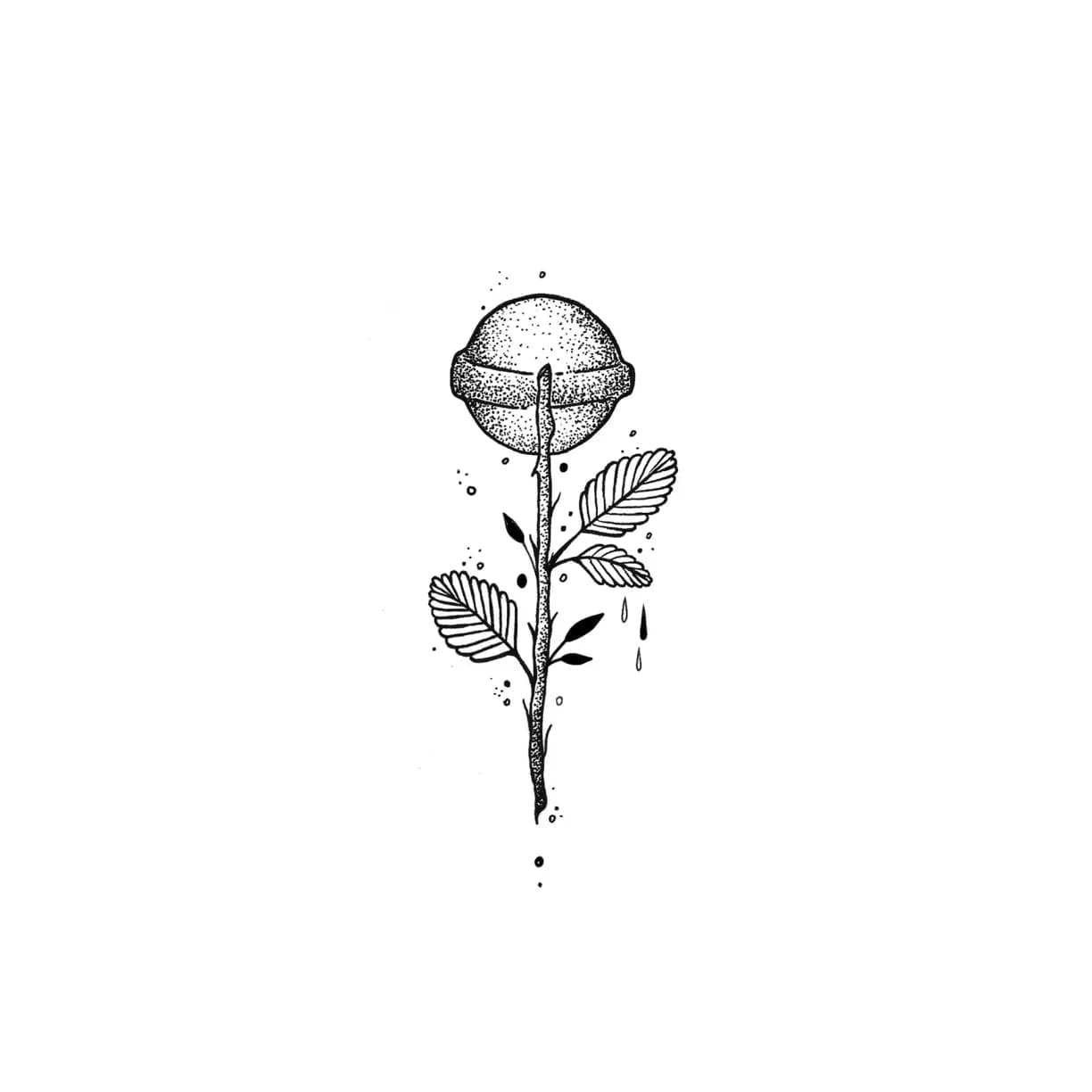 creatyum-media-valeria-corcios-01.webp