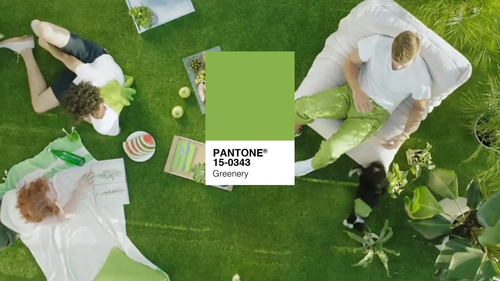 PANTONE: Greenery, color del año 2017