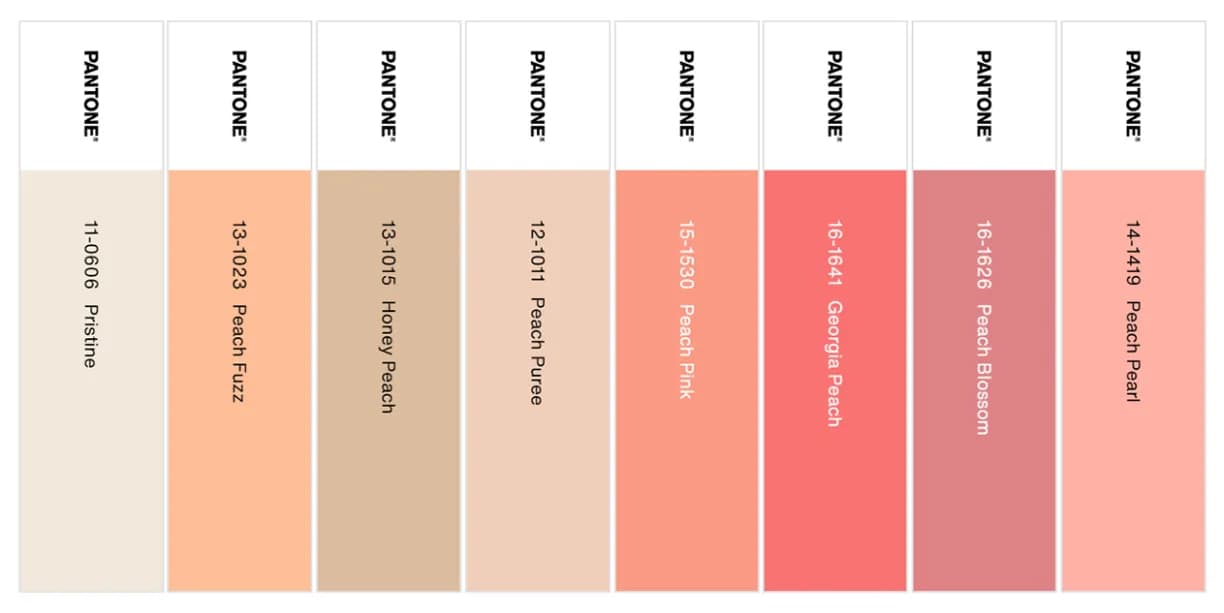 creatyum-media-pantone-color-harmonies-peach-plethora.webp